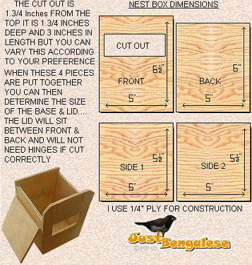 zebra finch nest box plans